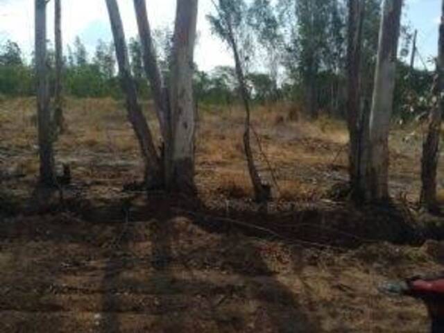 Terreno para Venda em Cuiabá - 3