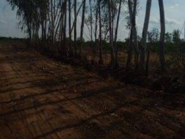 Terreno para Venda em Cuiabá - 4