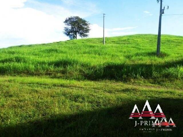 Venda em Zona Rural - Nova Brasilândia
