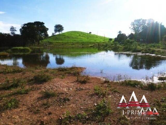 #774 - Fazenda para Venda em Nova Brasilândia - MT - 1