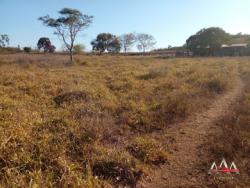 #792 - Fazenda para Venda em Rosário Oeste - MT - 2