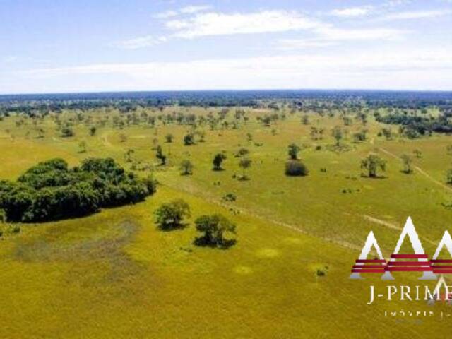 Fazenda para Venda em Poconé - 4