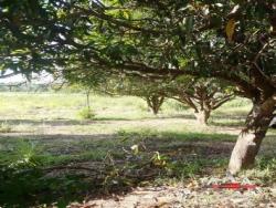 Área para Venda em Cuiabá - 5
