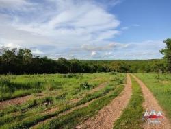 #881 - Fazenda para Venda em Jangada - MT - 3